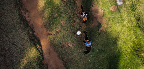 Drone photography of horse ride and plants, taken at park, on Sunday May 16th, 2022. 