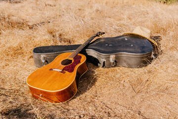 Guitar in a field