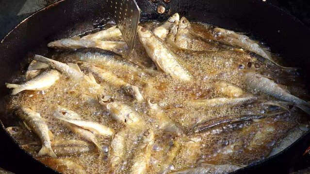 Fish fried in oil - deep frying and stirring small sprats or common bleak in hot boiling and bubbling fat while tilting the pan.