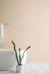 Modern bathtub with towel and houseplant near pink wall