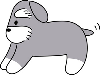 ほっこりかわいいしっぽを振るシュナウザー