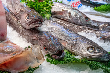 Fresh fish for sale at a market in Barcelona, Spain