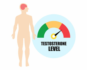 Hormone testosterone level measuring scale, indicate high level of testosterone, health care and medical vector illustration.