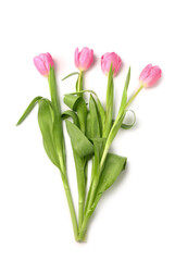 Beautiful tulip flowers isolated on white background