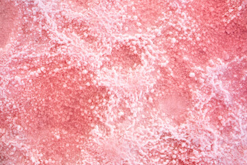 Pink lake - texture of pink salt as a background, unusual nature. A unique rare natural phenomenon. Salt lake with pink algae. Beautiful landscape.