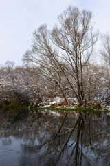 winter river, trees in the snow, view of the snow-covered forest
