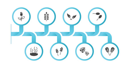 editable filled icons with infographic template. infographic for nature concept. included roses, nut leaf, falcate, fertilize clinic, fasciculate, pedunculate, leaf monstera, plum leaf icons.