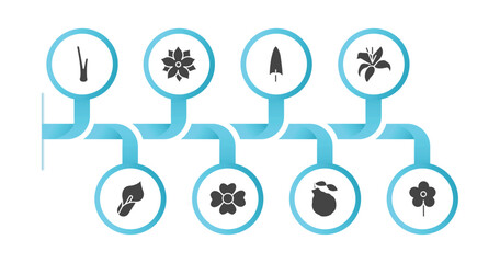 editable filled icons with infographic template. infographic for nature concept. included lemongrass, pointia, spear shaped, lily, calla, jasmine, bergamot, daisy icons.