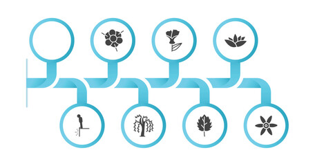 editable filled icons with infographic template. infographic for nature concept. included gerbera, magnolia, larch, nymphea, cliff, willow, peppermint, sisyrinchium icons.