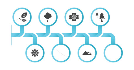 editable filled icons with infographic template. infographic for nature concept. included branch, beech, wallflower, anthurium, cedar, clematis, bluebell, snowslide icons.