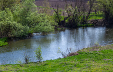 Landscape beautiful alluvial forest at the river in back light in spring