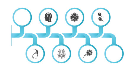 editable filled icons with infographic template. infographic for human body parts concept. included ball of the knee, human eyebrow, brain inside human head, big cellule, two spermatozoon, face of a
