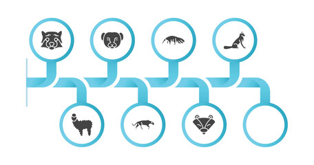 editable filled icons with infographic template. infographic for animals concept. included red panda, weasel, anteater, rat, fox sitting, alpaca, panther, badger icons.