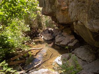 Nature  in the Black Gorge on the banks of the Zavitan stream in the Golan Heights, near to Qatsrin, northern Israel