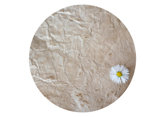 Crumpled old vintage summer background with wild flowers daisies. Round shape isolated on a white background.