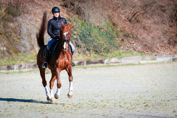 Dressage horse with female rider during training, change of gallop photographed from diagonally in...