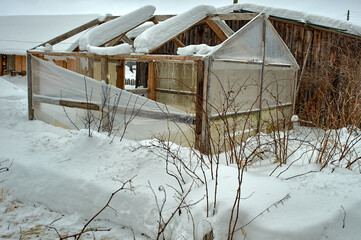 glass greenhouse covered with snow
