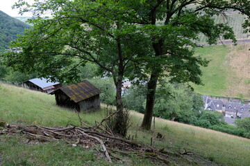 FU 2022-07-01 Bacharach 286 Am Wiesenhang steht ein Holzhaus hinter den Bäumen