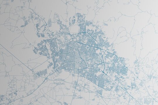 Map of the streets of Leon (Mexico) made with blue lines on white paper. 3d render, illustration