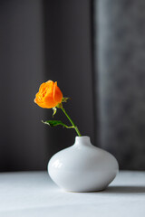 Orange rose in a small vase
