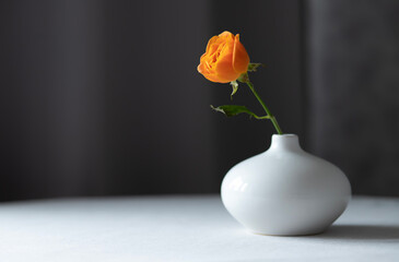 Orange rose in a small vase