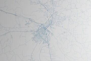 Map of the streets of Alexandria (Louisiana, USA) made with blue lines on white paper. 3d render, illustration