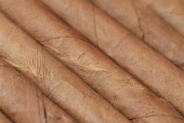 Handmade thin tobacco cigars or cigarette macro background