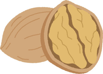 くるみのイラスト