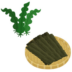 昆布のイラスト