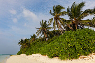 The Republic of Maldives. Tod's Island. Types of beaches in the Maldives.