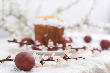 Colorful Easter eggs with spring blossom flowers. Colored Egg Holiday border. Easter cake