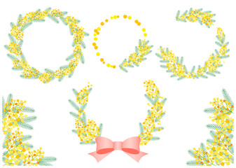 ミモザのフレームセット