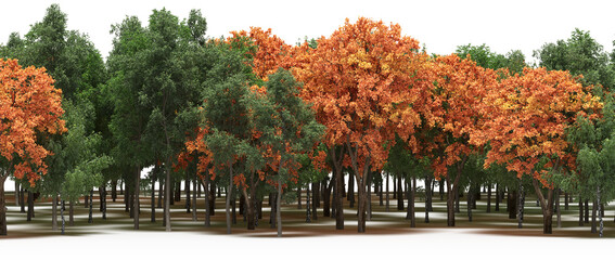 forest line with shadows under the trees, isolated on white background, 3D illustration, cg render