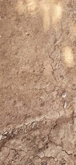sand in the sand