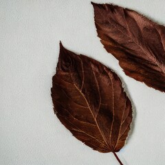 autumn leaves on the ground. Generative AI.