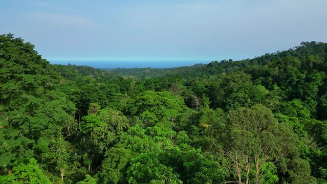 Aerial view over Sao Tome green biosphere forest with the ocean as background,Africa