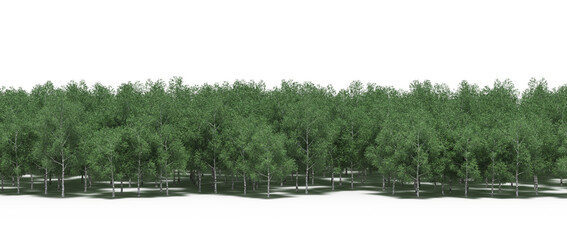 forest line with shadows under the trees, isolated on transparent background, 3D illustration, cg render
