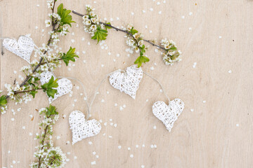 Hands touch heart a branch of an apple tree blooming with white flowers. Apple blossom. Love nature