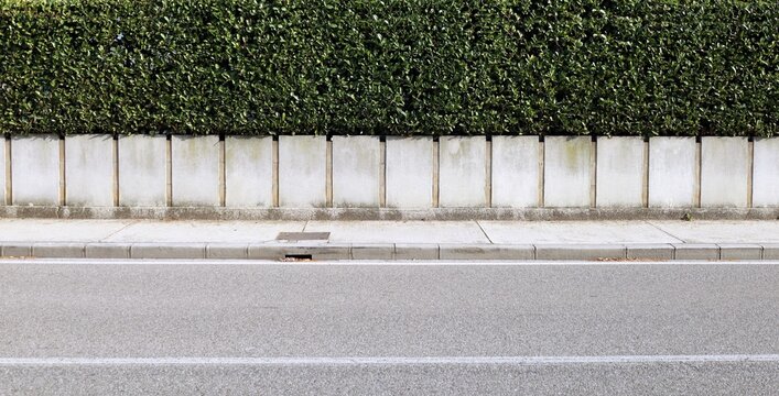 House Fence Consisting By A Long Concrete Rectangle Block Wall And A Hedge Above. Cement Sidewalk And Asphalt Street In Front. Background For Copy Space