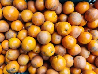 Small piles of oranges in baskets ready to send agricultural products to sell.