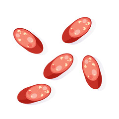 fried sausage isolated