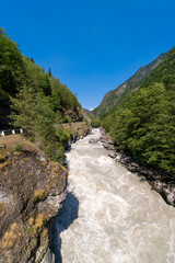 Powerful mountain river among a mountain gorge with green trees on a sunny bright day. Stunning mountain landscape with a swirling river, Svaneti, Georgia. Vertical photo