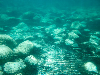Fototapeta na wymiar Fondo marino de arena con rocas y algas, fotografía submarina. Fondo marino de la costa del mar Jónico, costa de Pizzo en Italia.