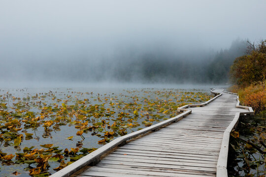 Boardwalk over One Mile Lake at sunrise, Pemberton, British Columbia, Canada