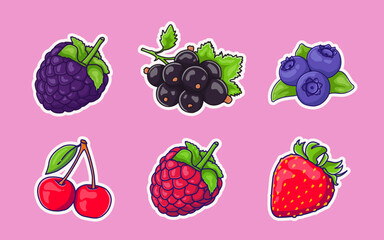 a set with cartoon berries . Vector single icons of strawberries, blackberries, cherries, raspberries, currants, blueberries. Cartoon stickers with berries