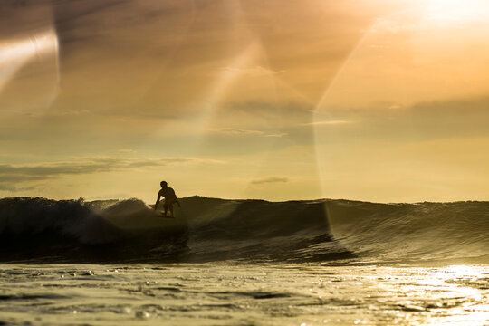 A surfer crests a wave