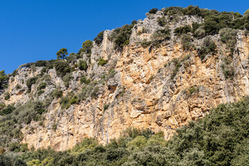Fototapeta na wymiar Mediterranean undergrowth vegetation in Coma dels Cairats, Son Moragues public estate, Valldemossa, Majorca, Balearic Islands, Spain