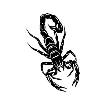 Premium Vector  A black and white scorpion with the letter b on it