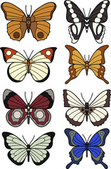 Fototapeta na wymiar Hand drawn vector butterfly set. Doodle style, line art. Multicolored butterflies. 