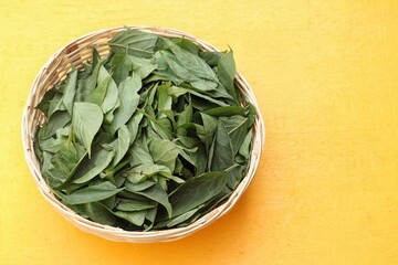 Stinkvine or Paederia Foetida Leaves Isolate in Bamboo Basket on Yellow Background with Copy Space, Also Known as Skunkvine or Chinese Fever Vine, Selective Focus on the Paste